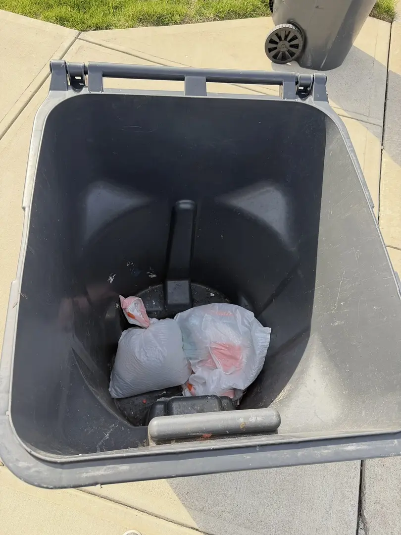 Bin cleaning photo
