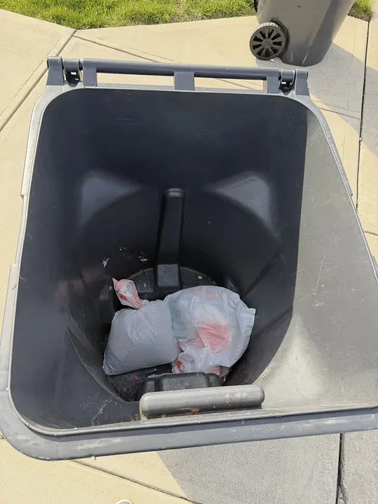 Bin cleaning photo